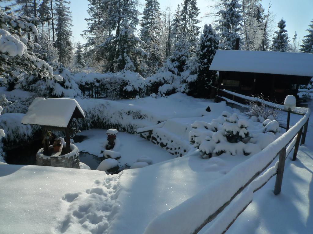 Penzion Pazicky Stara Lesna Exterior photo