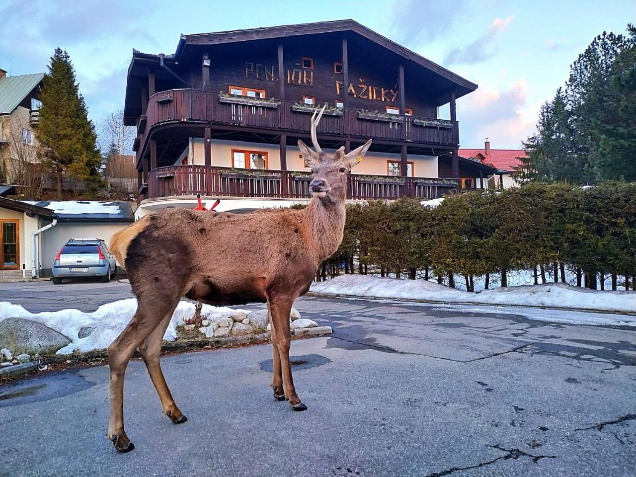 Penzion Pazicky Stara Lesna Exterior photo